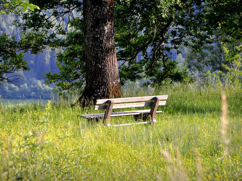 Landleben im Allgäu