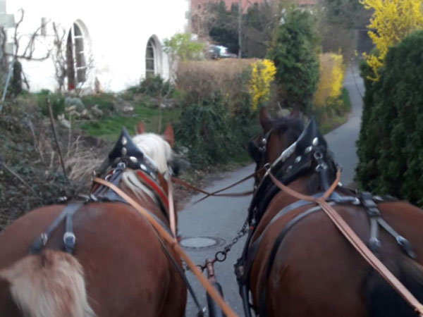 Kutschenfahrt durchs Allgäu